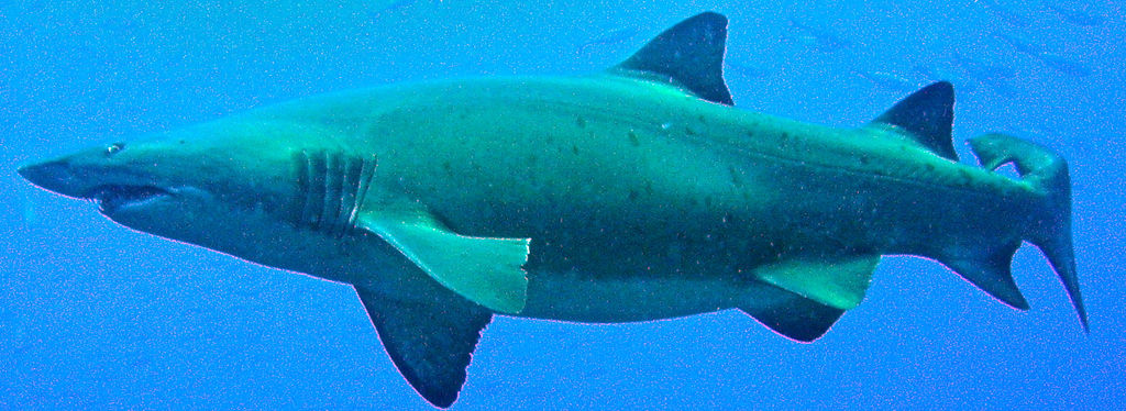 22b9b180-80fa-46fa-b357-daea75dae52a