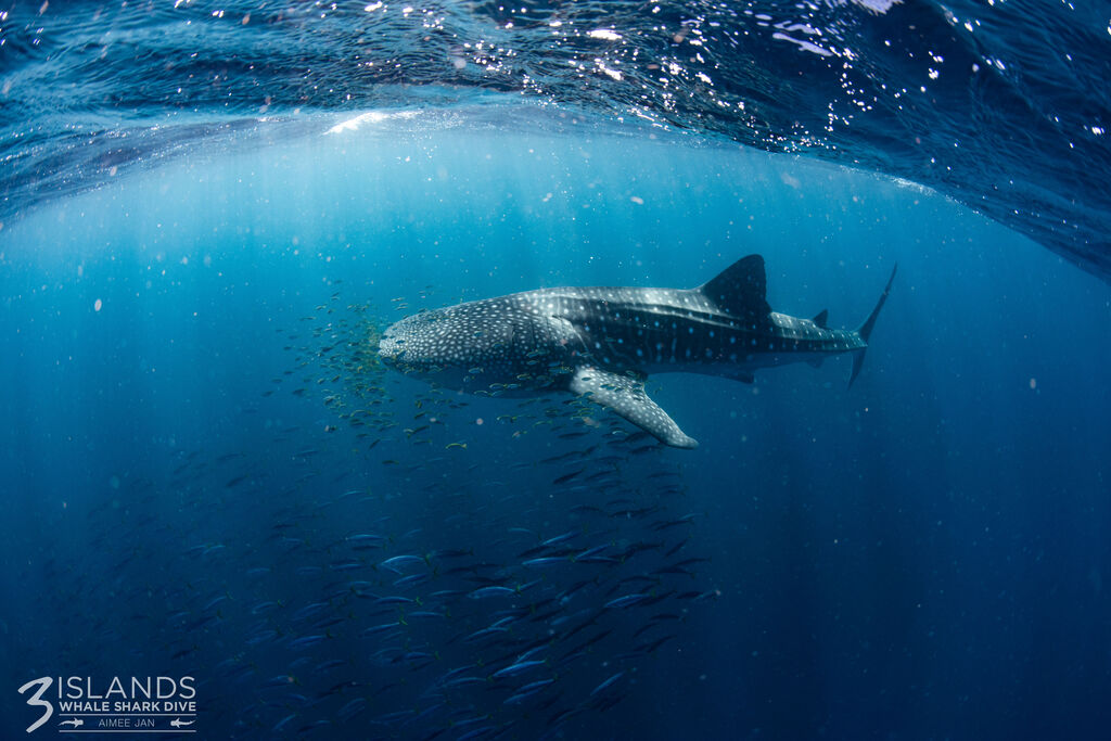 c56f3458-a51f-47ee-9a79-45f17155f4be