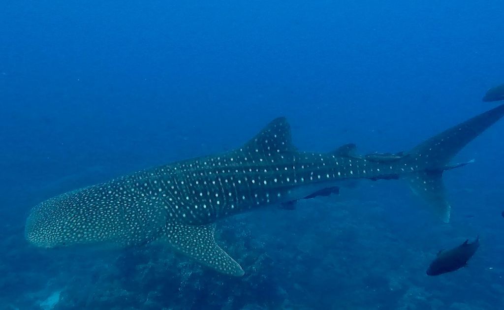 cc1f9ffb-189b-46eb-a571-613363cc5d47