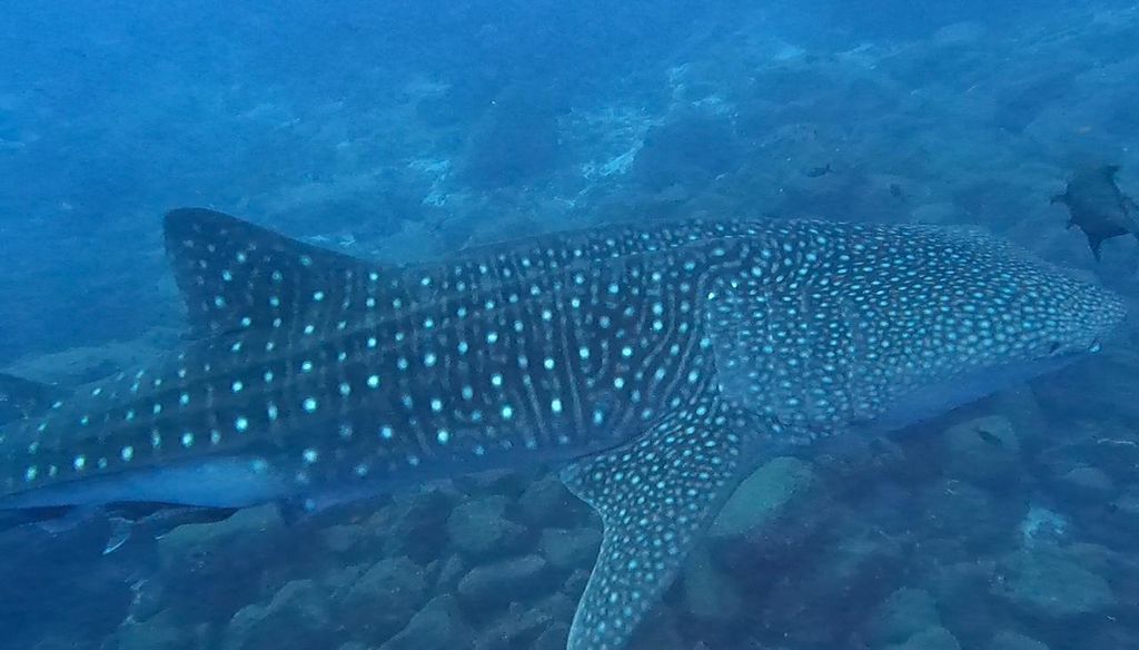 cc1f9ffb-189b-46eb-a571-613363cc5d47