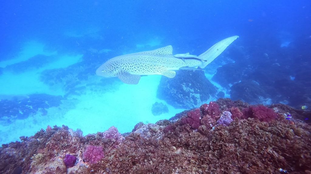 68b485ac-80be-4b72-ade5-7af7598294d1