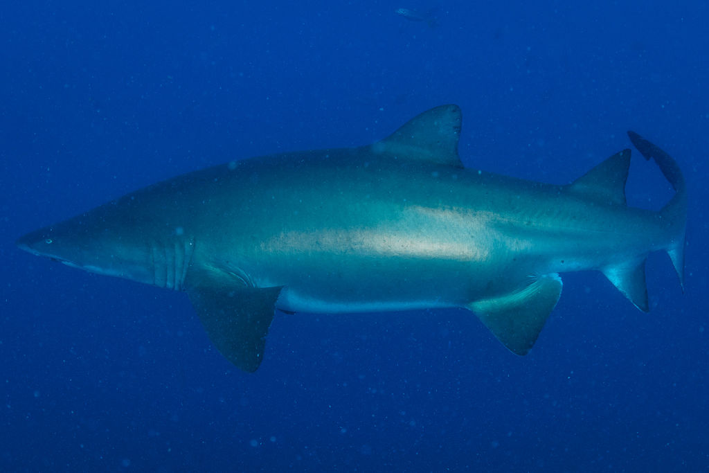 24fa040a-61a2-458c-a343-828b95541b8c