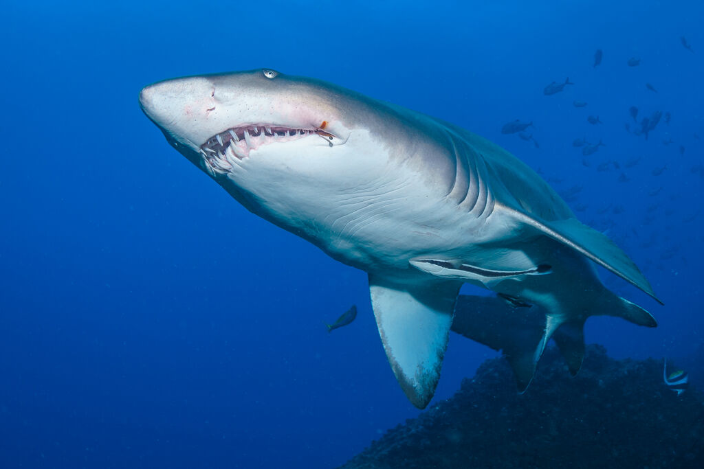 2204a93a-11fb-400b-b61a-1574748506a6