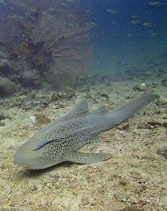 64192634-0d4f-4c8f-bd82-72d23e55dbfc