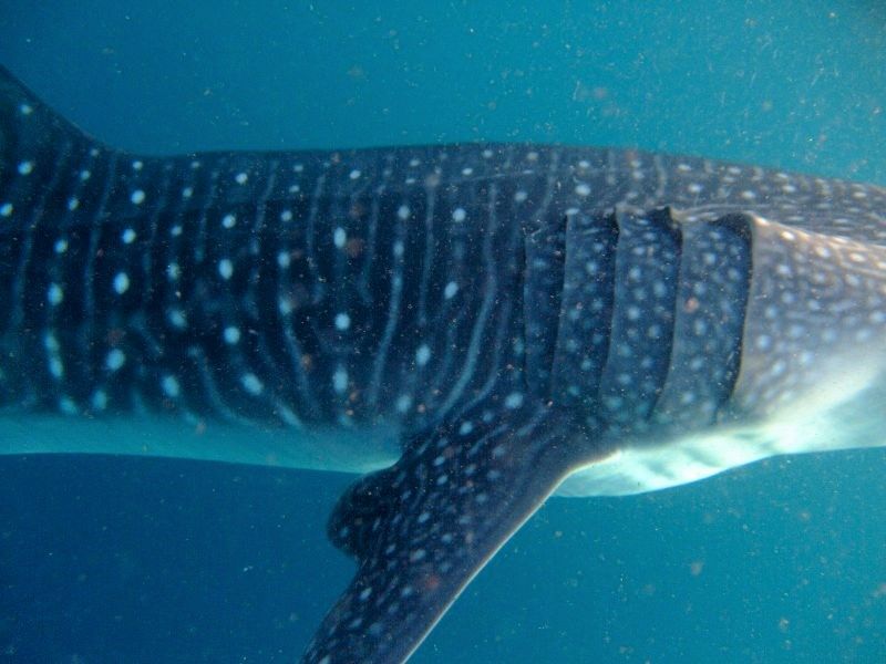 09ae492e-03e1-467d-a8a5-7caf8e36bb1d