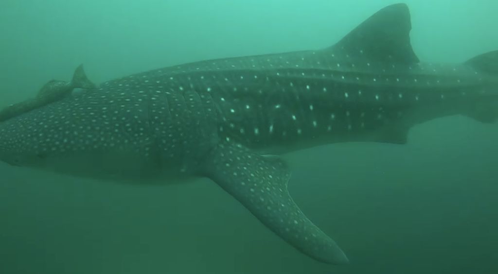 e2e7b60f-6792-46d9-8493-3a2b6d23f52a