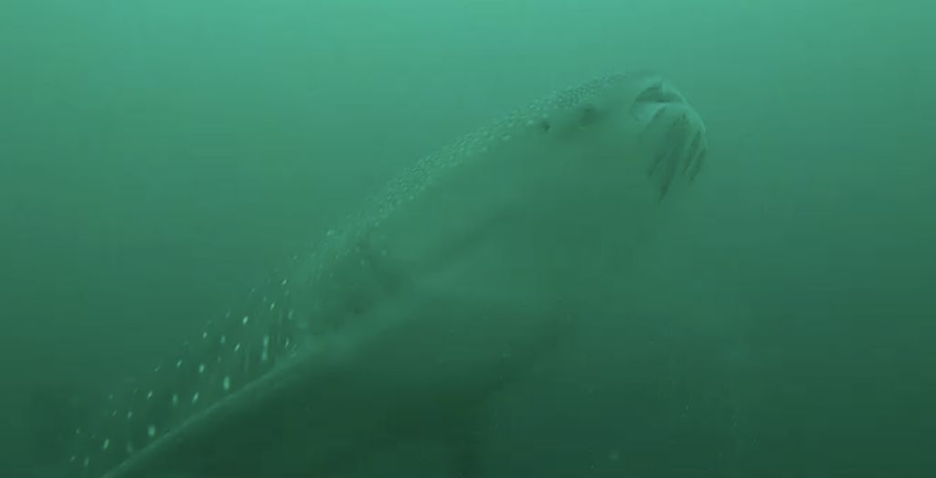 e2e7b60f-6792-46d9-8493-3a2b6d23f52a