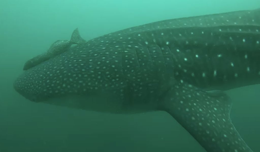 e2e7b60f-6792-46d9-8493-3a2b6d23f52a