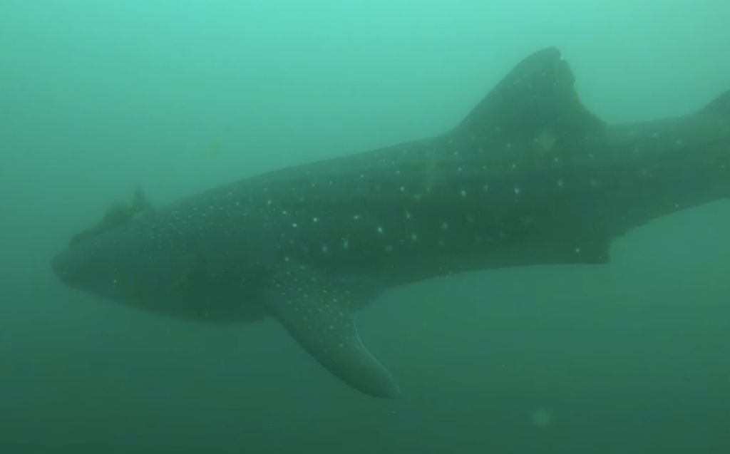 e2e7b60f-6792-46d9-8493-3a2b6d23f52a