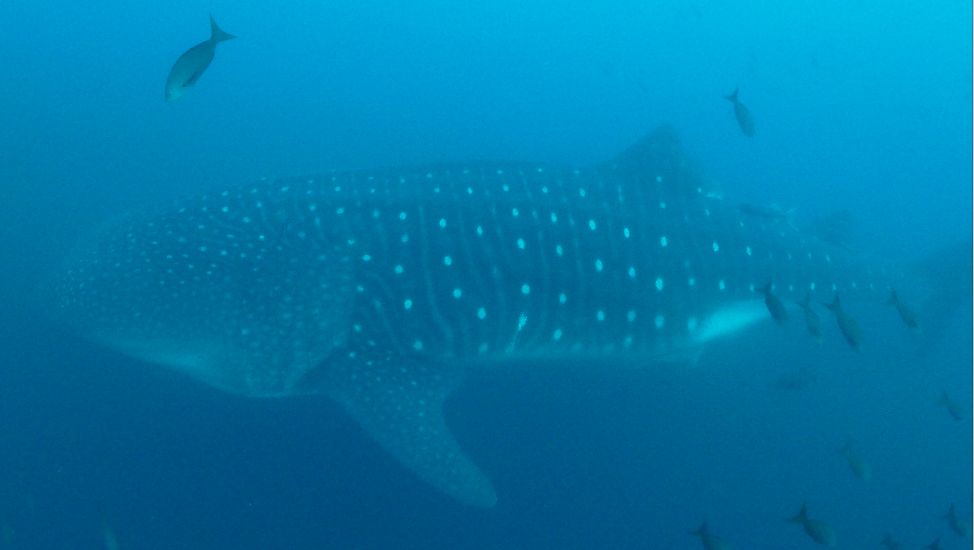 050a14fd-a1a2-43a8-9936-7d21cd7f782c