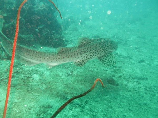 f6eabbb9-ceca-4681-8b8e-e98ed6ace16d