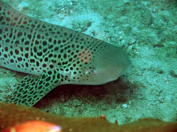 f6eabbb9-ceca-4681-8b8e-e98ed6ace16d