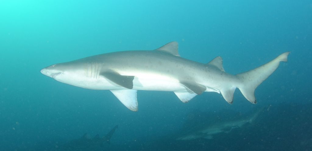 764420bd-7704-4e7e-97ce-8db854dc8c90