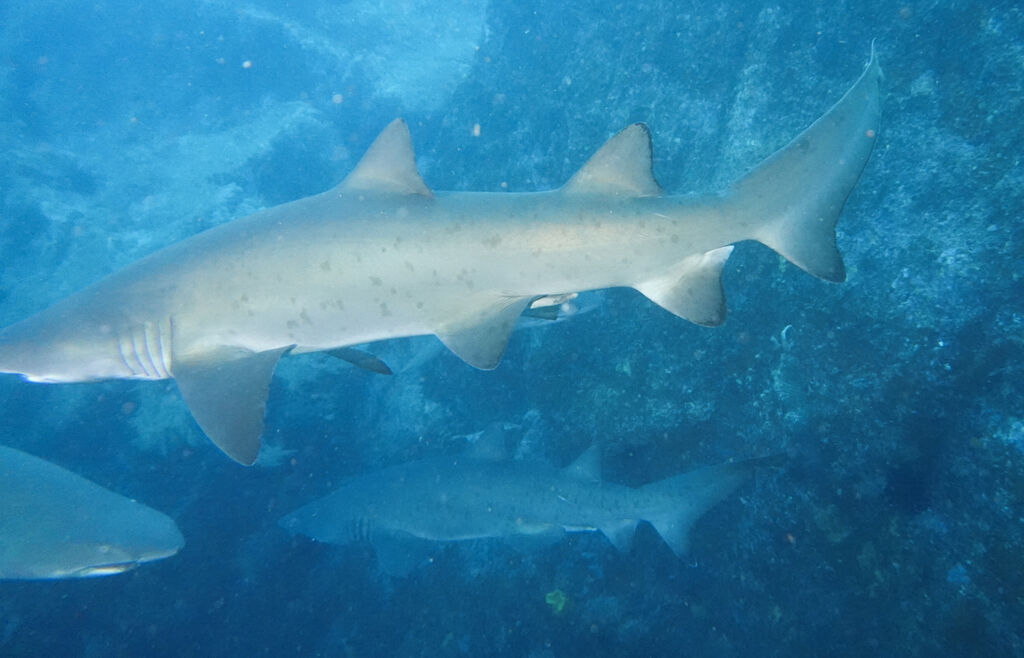 345f3051-a19c-42cd-b562-04293bb6c672