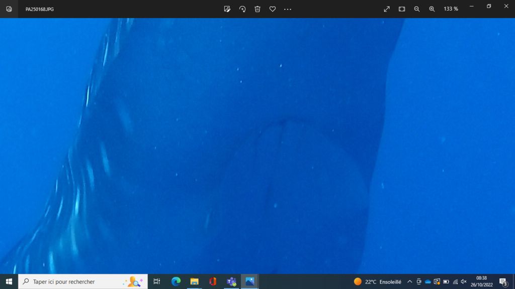 c0fb6d52-c6df-44bd-a546-0de619f44024