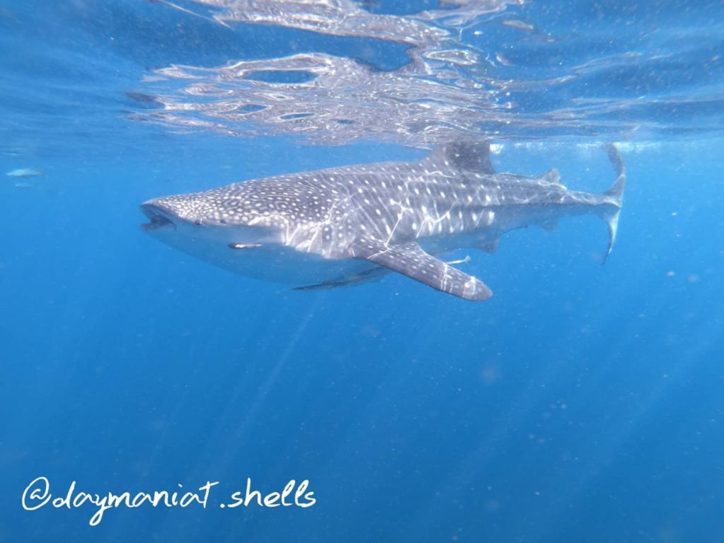 2d9cb719-71bb-403c-838d-03a7abb1bbc2