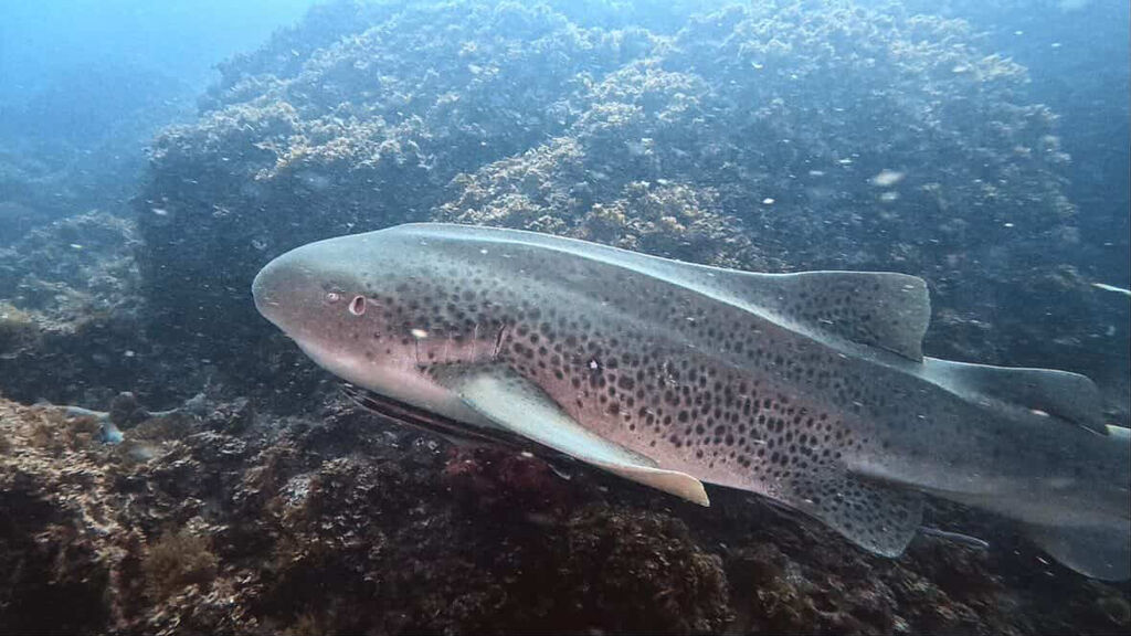 7544e871-1b7b-4384-81cb-da1eb2c56e54