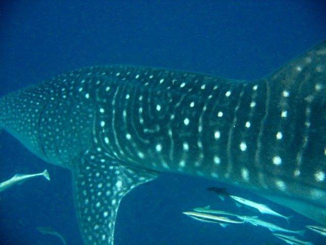 83615c65-30f0-4b8f-84d8-2ecedc661ab4