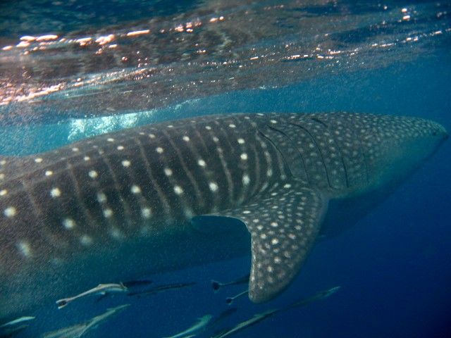 83615c65-30f0-4b8f-84d8-2ecedc661ab4