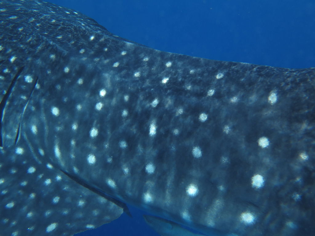 02a12010-8d8e-45db-9df3-70671ead74f5