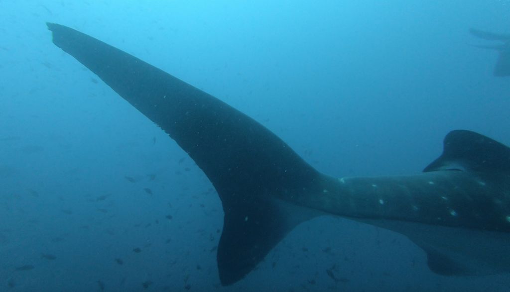 ae7efdc1-8d17-4188-80f7-2a51b2bfba6e