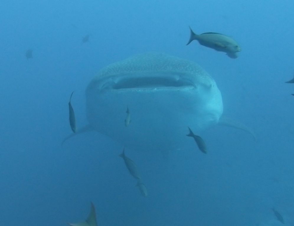 ae7efdc1-8d17-4188-80f7-2a51b2bfba6e