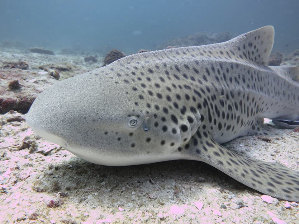 1407b5a1-ef85-4b75-8217-a544087c29e3