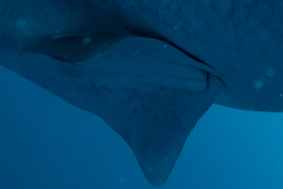 7e62275f-42fc-4ebe-9a70-9f910951404f