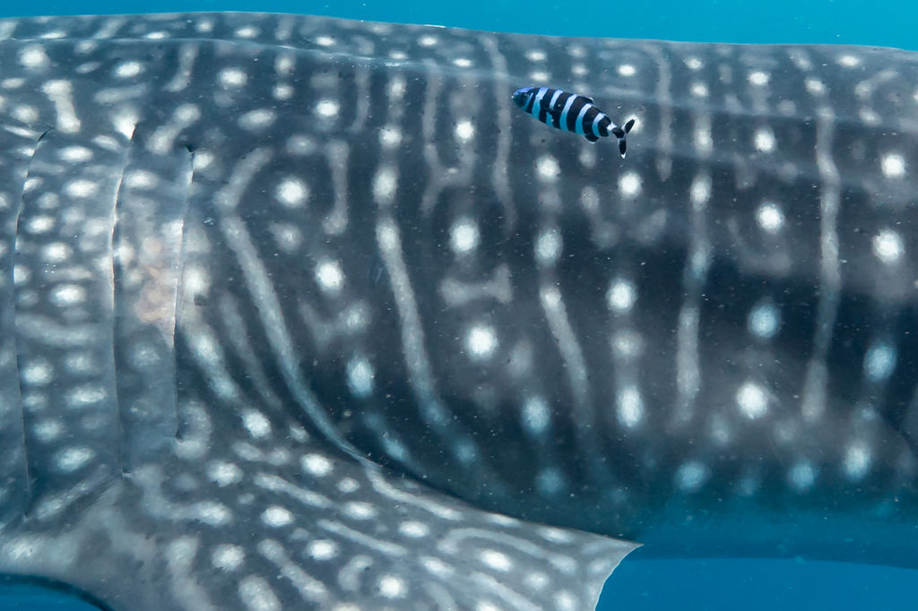 7e62275f-42fc-4ebe-9a70-9f910951404f