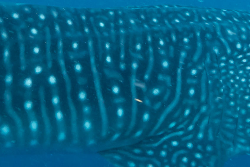 7e62275f-42fc-4ebe-9a70-9f910951404f