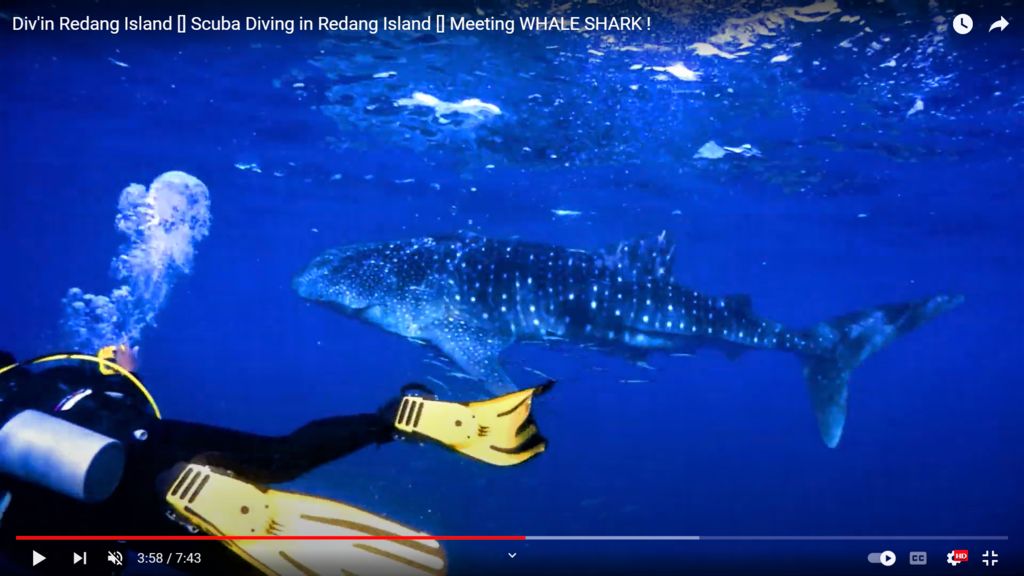 12638ac0-f0ff-4e02-9bac-3ef38e6537df