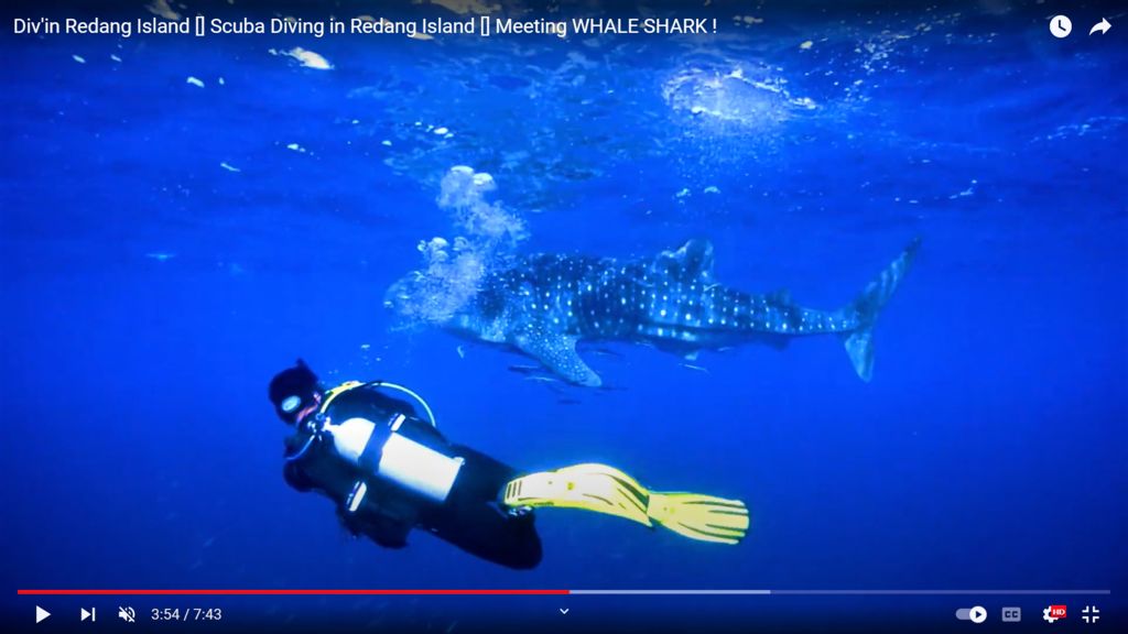 12638ac0-f0ff-4e02-9bac-3ef38e6537df