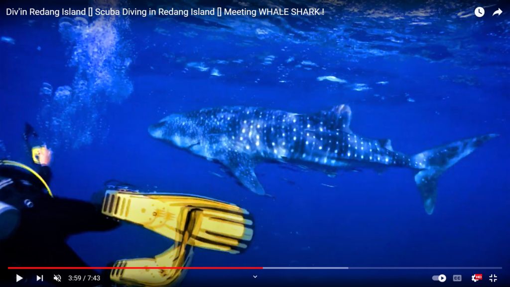 12638ac0-f0ff-4e02-9bac-3ef38e6537df