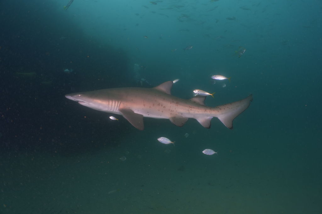 be26b409-3a66-4d4a-8f27-2452f471044d