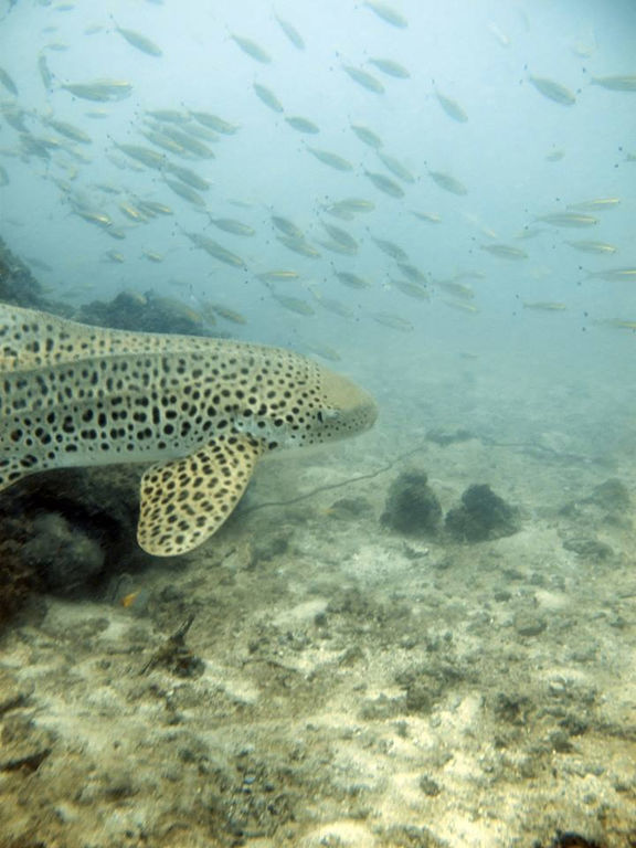 1e37fcf8-142c-4369-951d-8cac2ad7d6ea