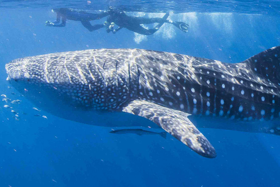 05b805ca-2e30-49cb-8911-825afafbac9b