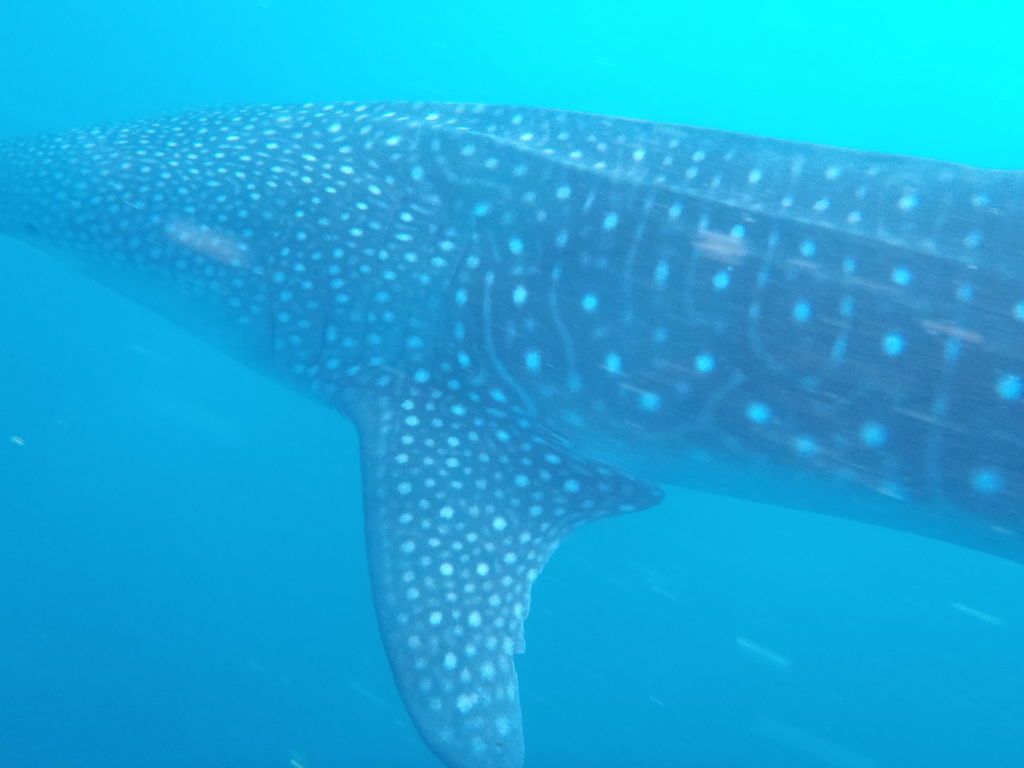 b3b0d7ea-06a1-4a24-ad1e-c52335ed7bd9