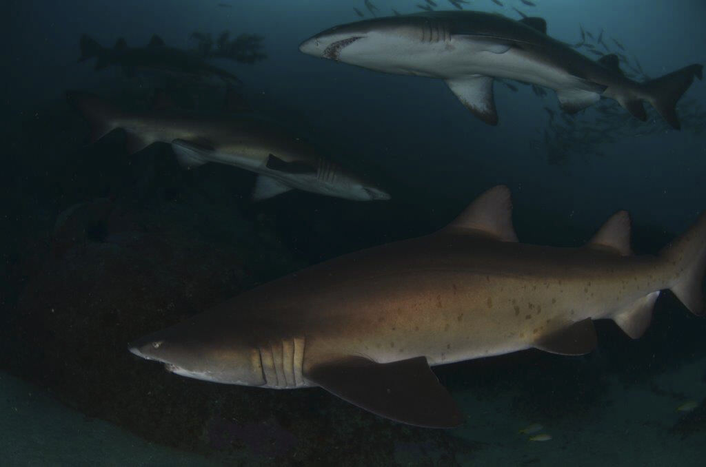 11d0d9fd-674a-4a20-af5a-17d234fcdaea