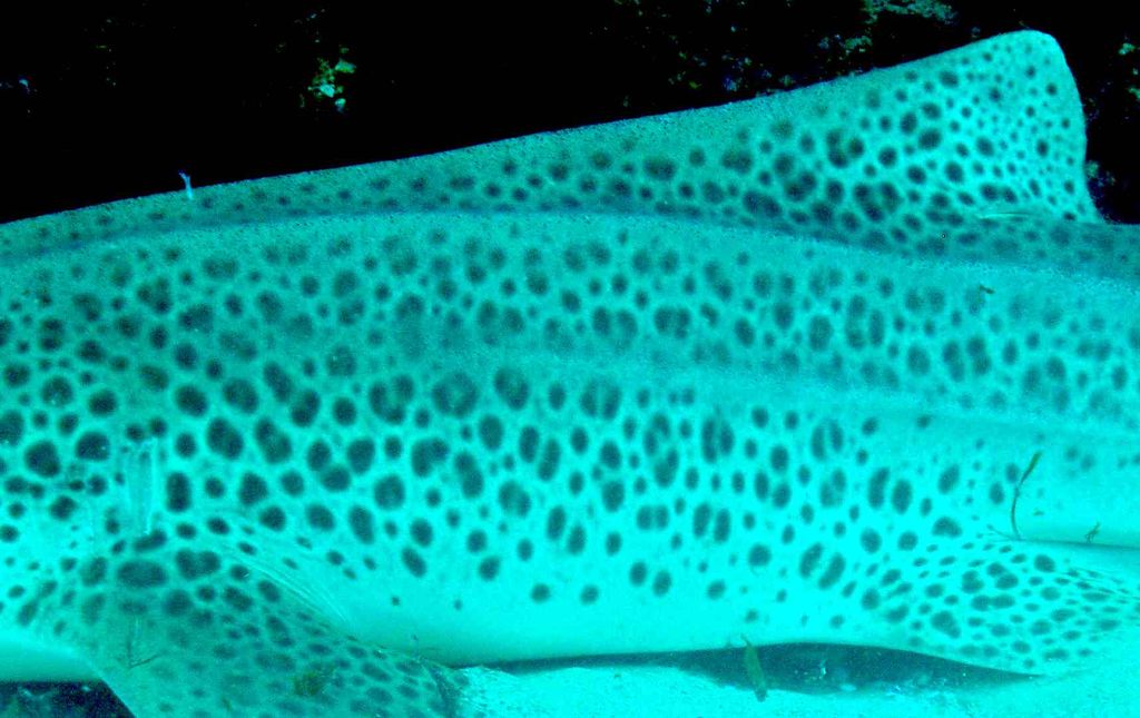 252e60bb-7a34-4e33-8f37-dab1ef164b63