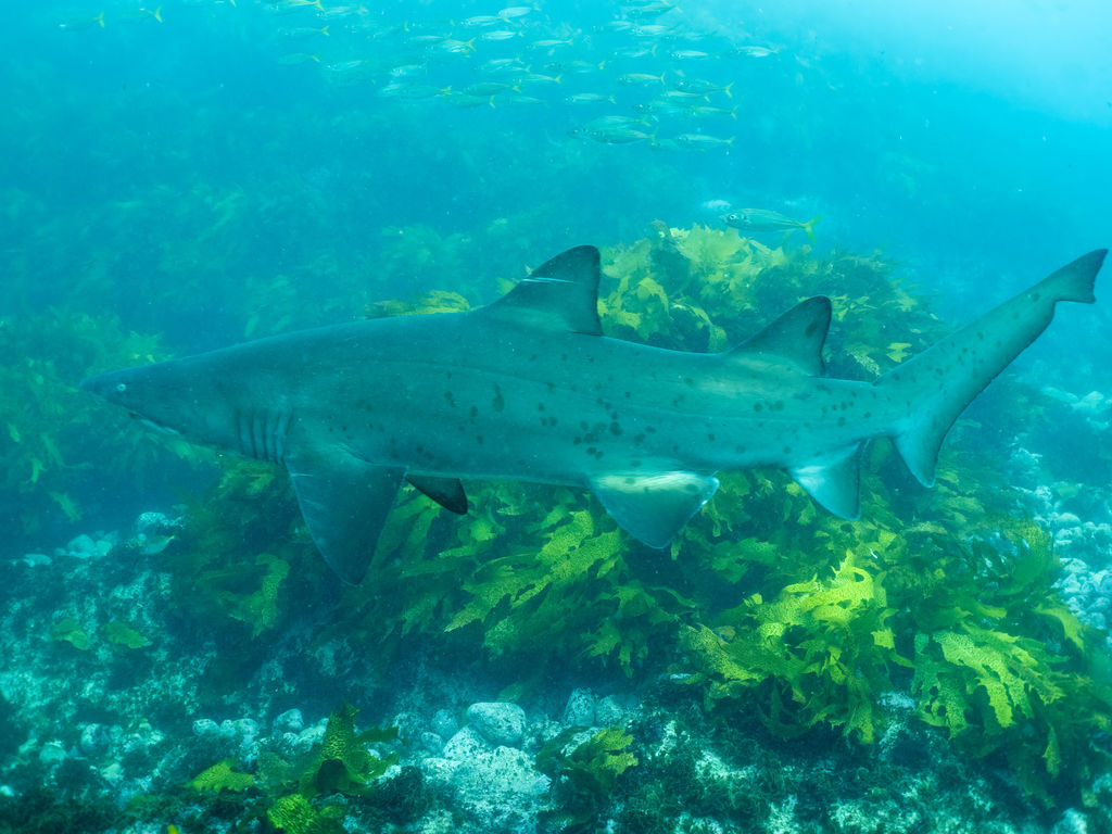 de289851-66b0-4ec2-ab5b-c9ea89e0640c