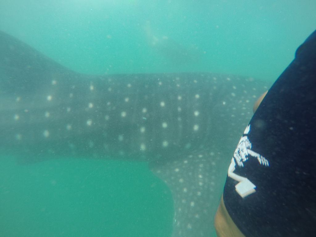 5a65f471-7215-4771-8c9a-373ddeed5c98