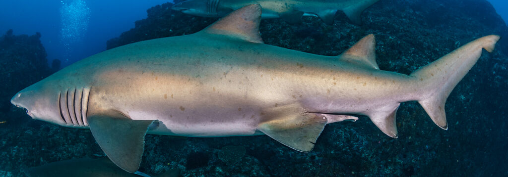 562bdf5c-ac2c-4d81-bad6-6c1dfb6a2ace