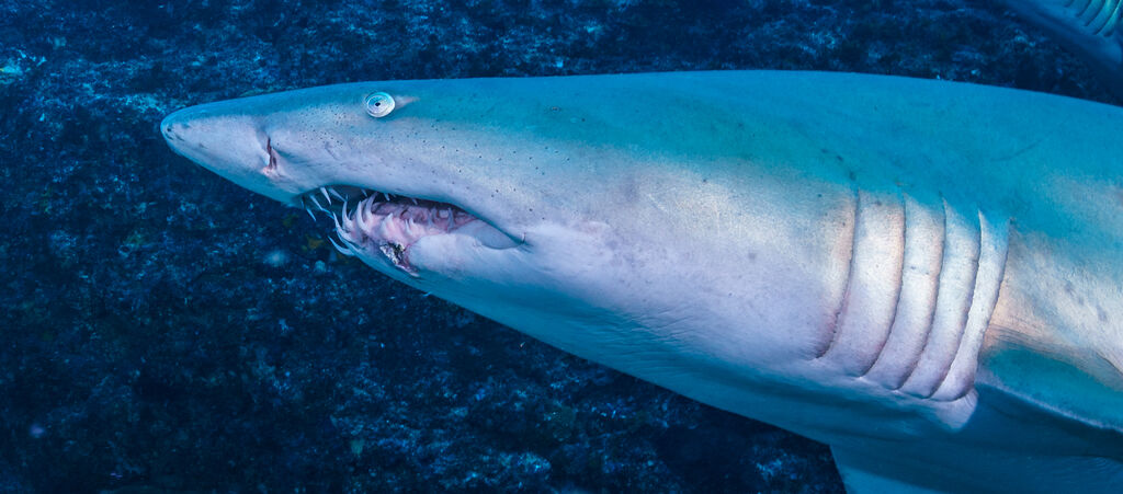 562bdf5c-ac2c-4d81-bad6-6c1dfb6a2ace