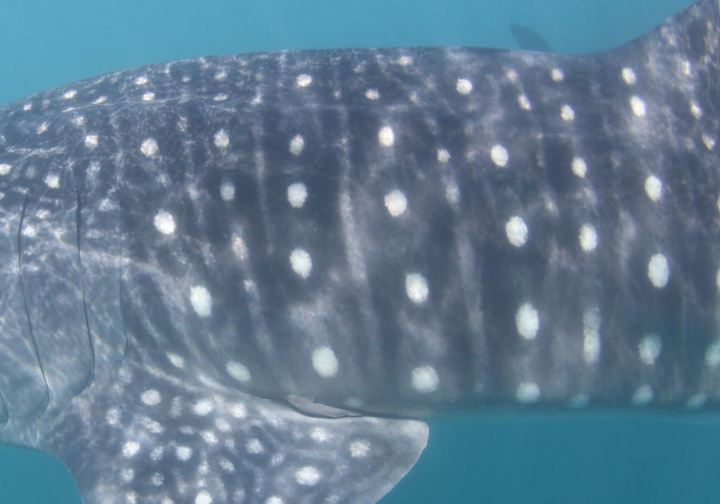 9c7af8e9-811b-412c-8084-313d06be554a