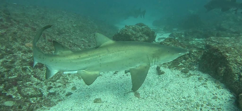 f951a8da-8a84-45a5-bfb6-e12a8b085753