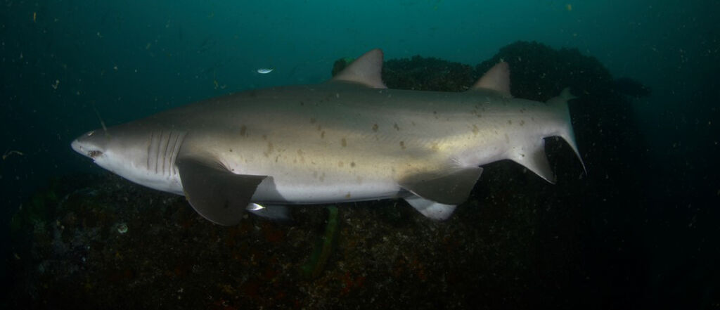 8172dc99-cdc2-442e-ba67-cc50aed9a6d7