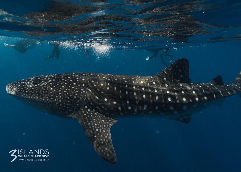 fdc14074-0075-4b91-a10a-1f6a61a685dc