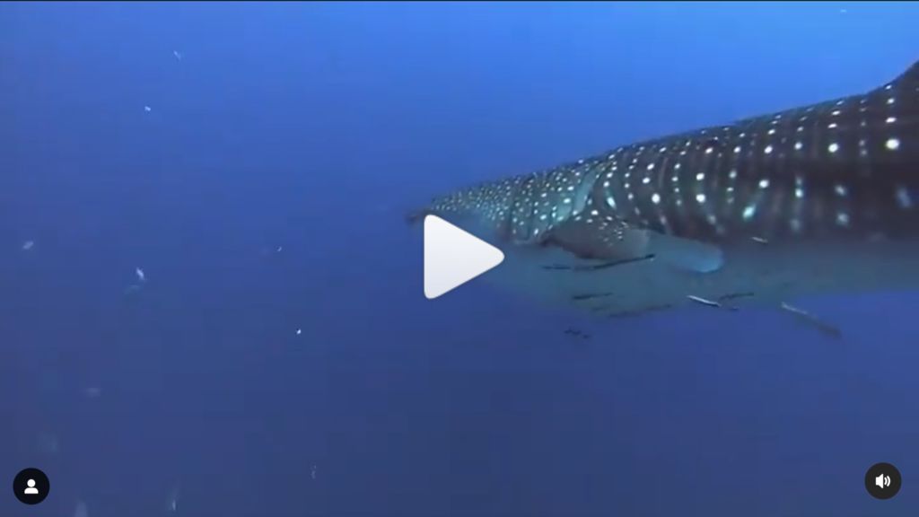 ebb43ae4-21dc-43a7-ab89-6c27c4d10a4e