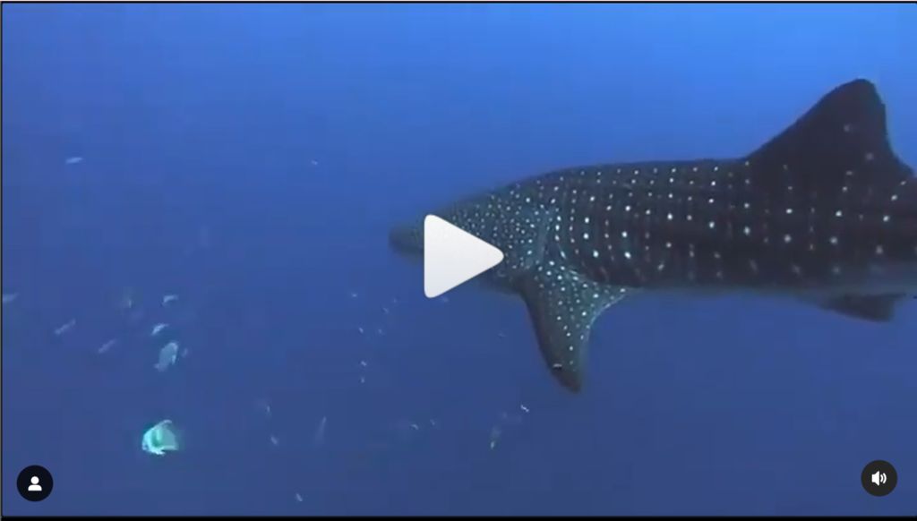 ebb43ae4-21dc-43a7-ab89-6c27c4d10a4e