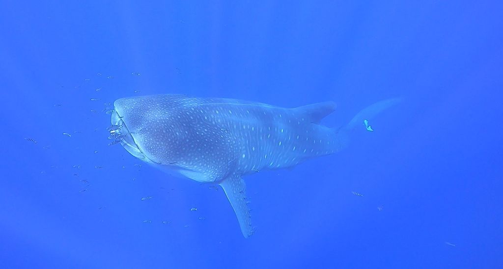 9e9d3202-3ddf-407d-83cb-e56e384daa1f